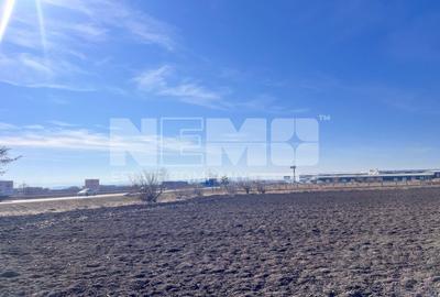 Teren agricol extravilan de 10000 mp, în Stroiești - 5