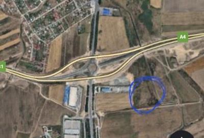 Teren de 10000 mp, în Lazu