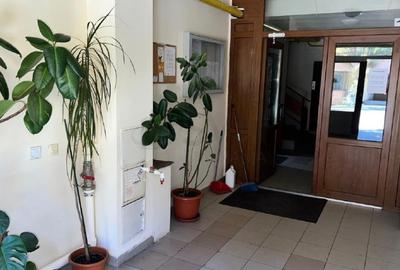 REA1027003 Garsoniera 54 MP Cartierul Latin Prelungirea Ghencea Bragadiru - 11