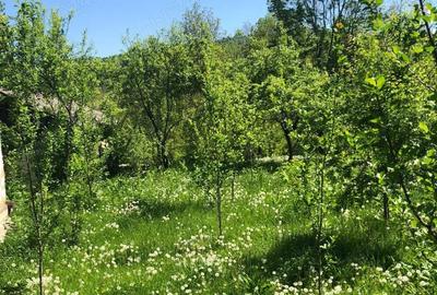 Casă cu 3 camere în Bezdead - 4