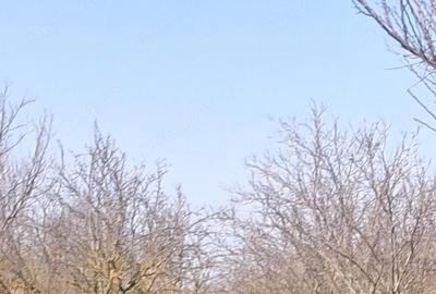 Casă cu Teren 18500 Mp în Armășești - 1