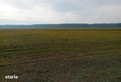 Teren de 635 mp, în Hârsești - 9