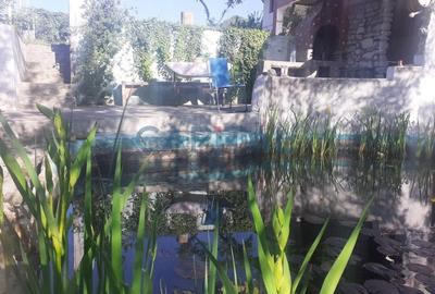 Apartament DEOSEBIT in VILA+ zona relax - 5