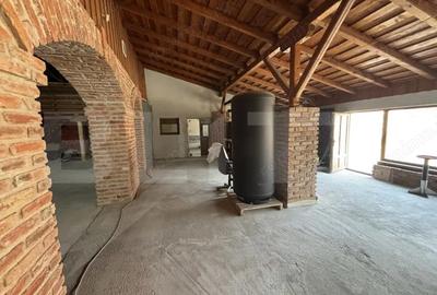 Spațiu comercial, de 480 mp, în Central - 1