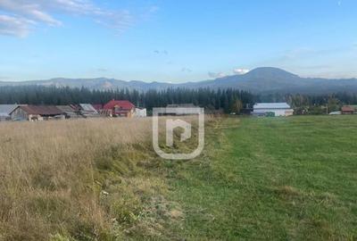 Teren intravilan Poiana Stampei ???? - 1