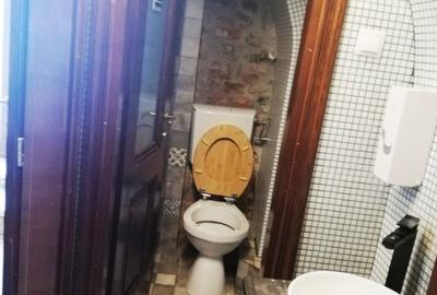 Spatiu comercial de vanzare in Piata Mica, Sibiu - 9
