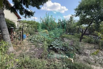 Casă parter + 1100 mp teren în Popești-Leordeni - 4