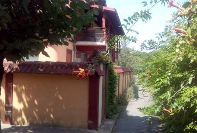 Garsonieră, curte - Trivale - 1
