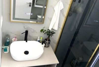 Apartament  Studio Mobilat  cu  Curte proprie  si loc de parcare - 2