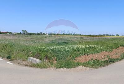 Teren Construcții intravilan de 980 mp, în Ciolpani - 2