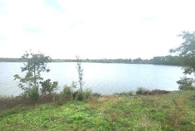 Teren Butimanu - 3700 mp-deschidere lac - 1