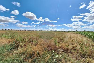 Teren Focsanei / DN sat Focsanei Vadu Pasii - 2