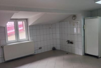 Vilă 5 camere, P+1+M curte proprie - 17