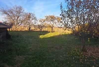 Casa  batraneasca de vânzare - 5