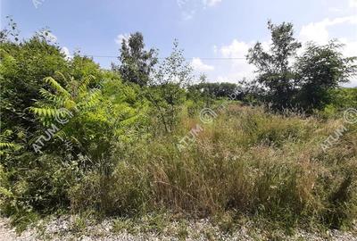 Teren Intravilan in Avrig zona Valea Avrigului 950 mp - 2