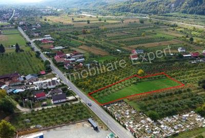 Teren de 2619 mp, în Oeștii Pământeni - 10