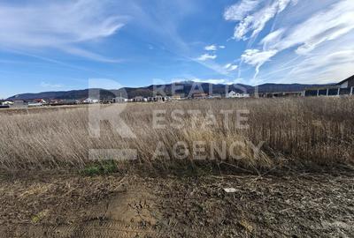 Teren Construcții intravilan de 890 mp, în Cristian - 5