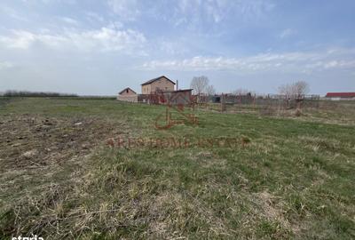 Teren de 2450 mp, în Bucovăț - 4