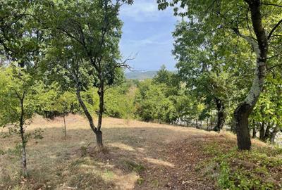 Teren de 2359 mp, în Valea lui Enache - 6