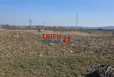 Spațiu comercial, în Central