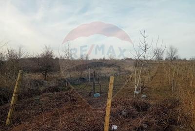 Teren de 2301 mp, în Cârcea