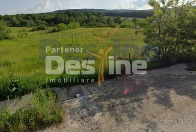 Teren Construcții intravilan de 8000 mp, în Bucium - 1