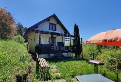 Casa 5 camere de vanzare in Floresti - 11