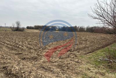 Teren de 935 mp, în Brădești - 2