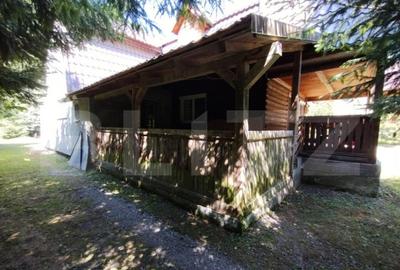 Cabana 4 camere Lunca Bradului - 9