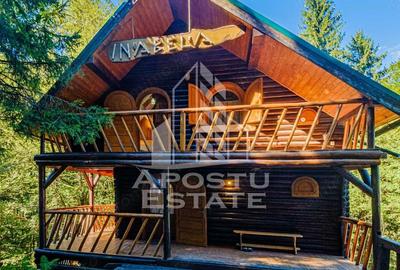 Casă cu 6 camere cu Teren 120 Mp în Râu de Mori - 5