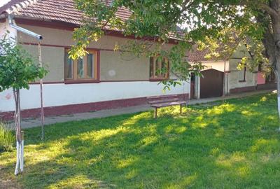 Casă cu 3 camere în Șimand - 4