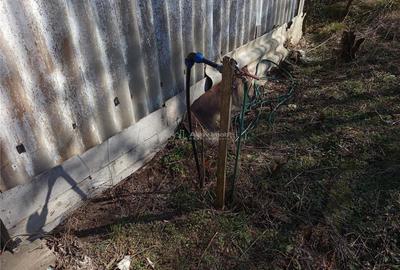 Bradisoru de Jos, Casa 2 Cam. + Teren 1439MP - 10