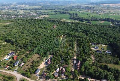 OPORTUNITATE PENTRU DEZVOLTATORI Teren de vanzare Sa... - 4