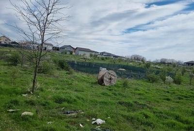 Teren de 500 mp, în Brazda lui Novac - 1