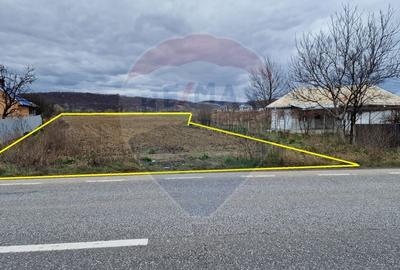 Teren Construcții intravilan de 7000 mp, în Sănduleni