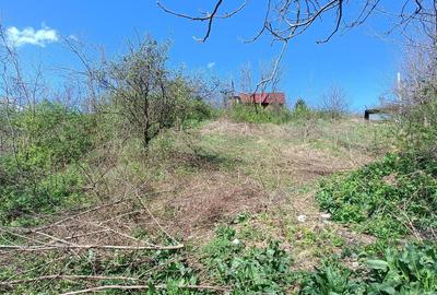 Spațiu comercial, în Mărgineni - 5