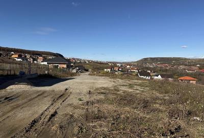 Teren Construcții intravilan de 990 mp, în Chinteni - 3