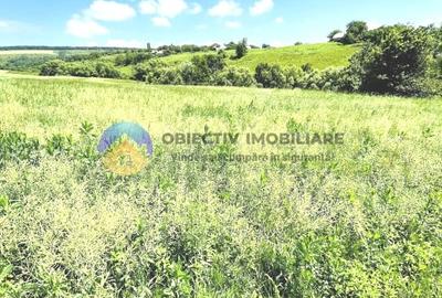 CASA  comuna NEGRESTI - 10