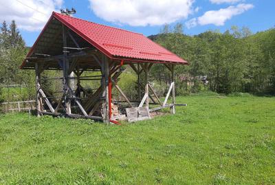 Spațiu comercial, în Gojeiești - 1