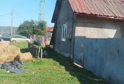 Casa construc?ie noua din bca - 2