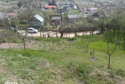 Casă cu 2 camere cu Teren 2500 Mp în Bogați - 8