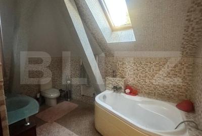 Vila de vanzare, cu 9 camere, 400 mp teren, zona Traian - 14