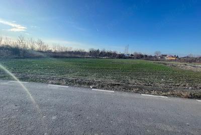Teren de 3834 mp, în Lupăria - 2