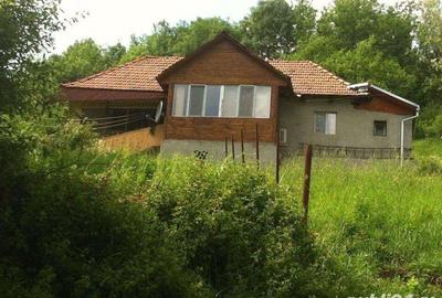 Casă cu 2 camere cu Teren 2650 Mp în Central - 3