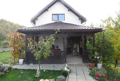 Proprietate Sannicoara, teren 1000 mp! - 4