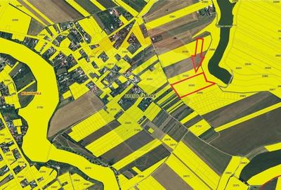 Teren Agricol, Intravilan vanzare, in Calarasi, Belciugatele - 4