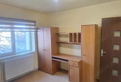 Apartament cu 2 camere decomandat în Brazda lui Novac - 4