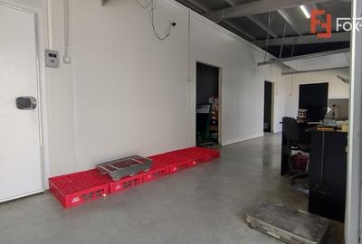 Inchiriere spatiu depozitare produse alimentare, Sacalaz - 3