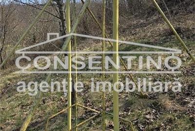 Casă cu 6 camere cu Teren 2200 Mp în Tisău - 7