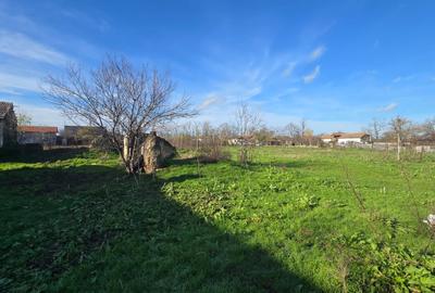 Teren Construcții intravilan de 1914 mp, în Ciocârlia de Sus - 5